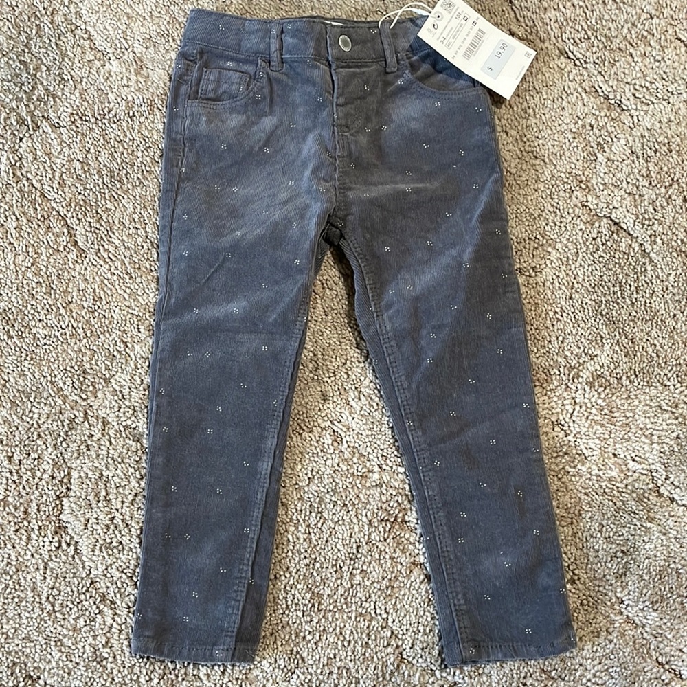Zara Toddler 3-4 Corduroy Pants